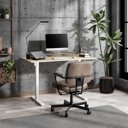  Nojo Light Escritorio Elevable Eléctrico Pino Blanco para Trabajo Remoto
| Nojo Light Escritorio Elevable Eléctrico Pin