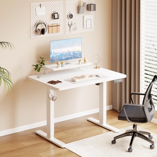  Elevable Eléctrico 120x60cm Escritorio con Monitor, Oficina Regulable en Altura, Soporte para Monitoreo, 2 Alturas de M